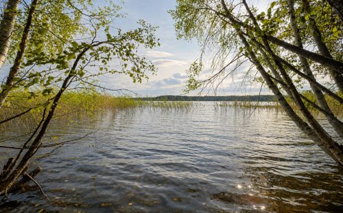 Участок на первой линии