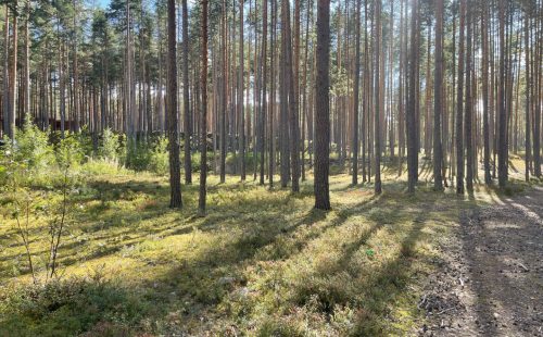 Участок в поселке бизнес-класса