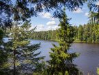 Участок в закрытом поселке