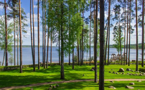 Участок 46 соток на 1 линии