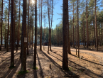 Лосево
